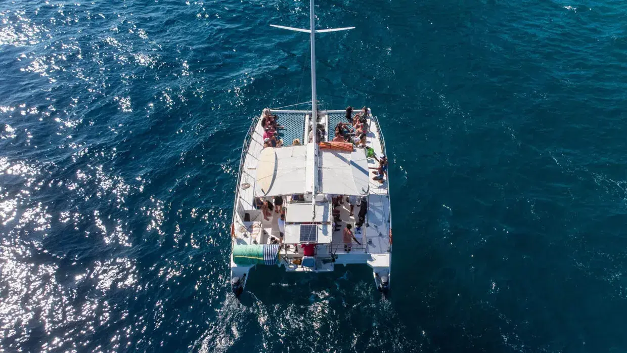 Pez Gato I Private Charter