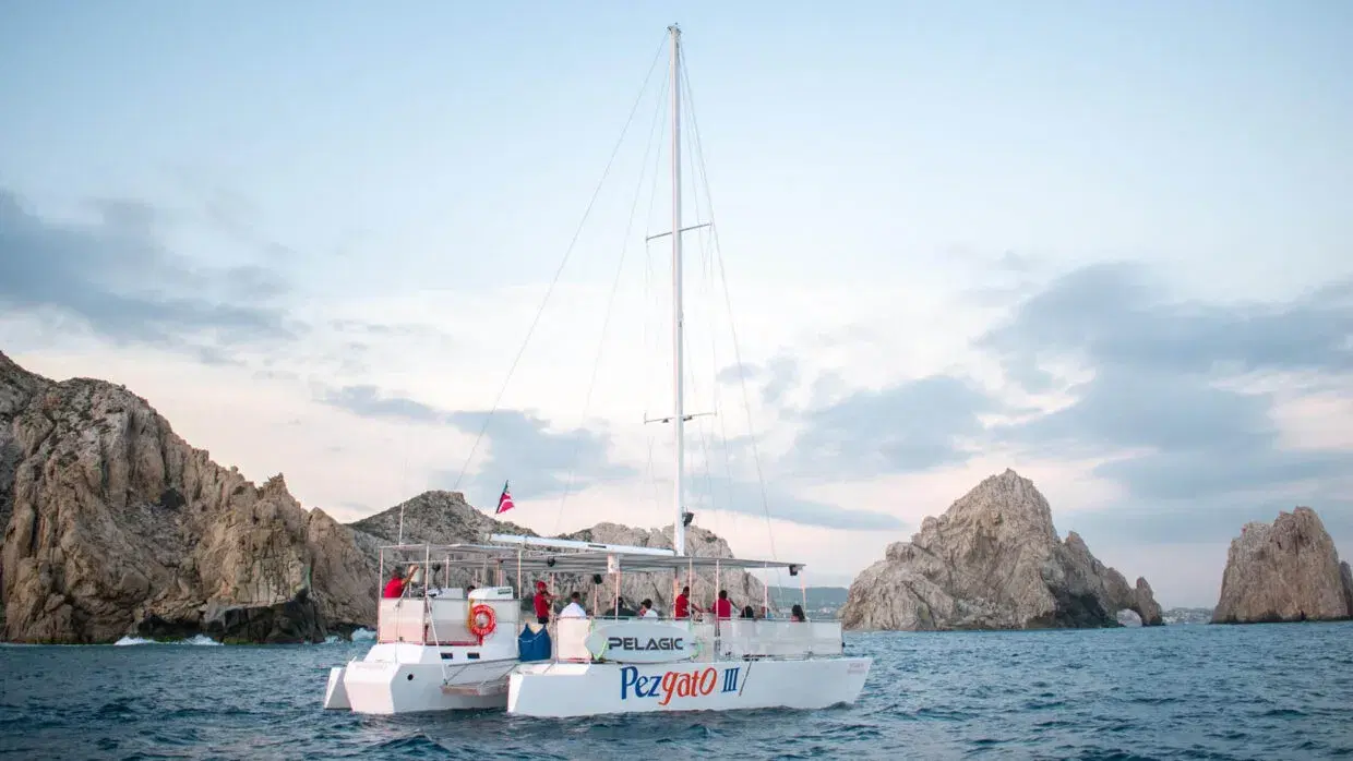 Pez Gato III Private Charter