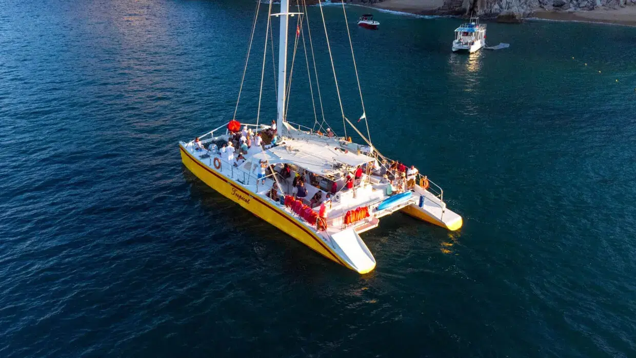 Tropicat Private Charter PezGato