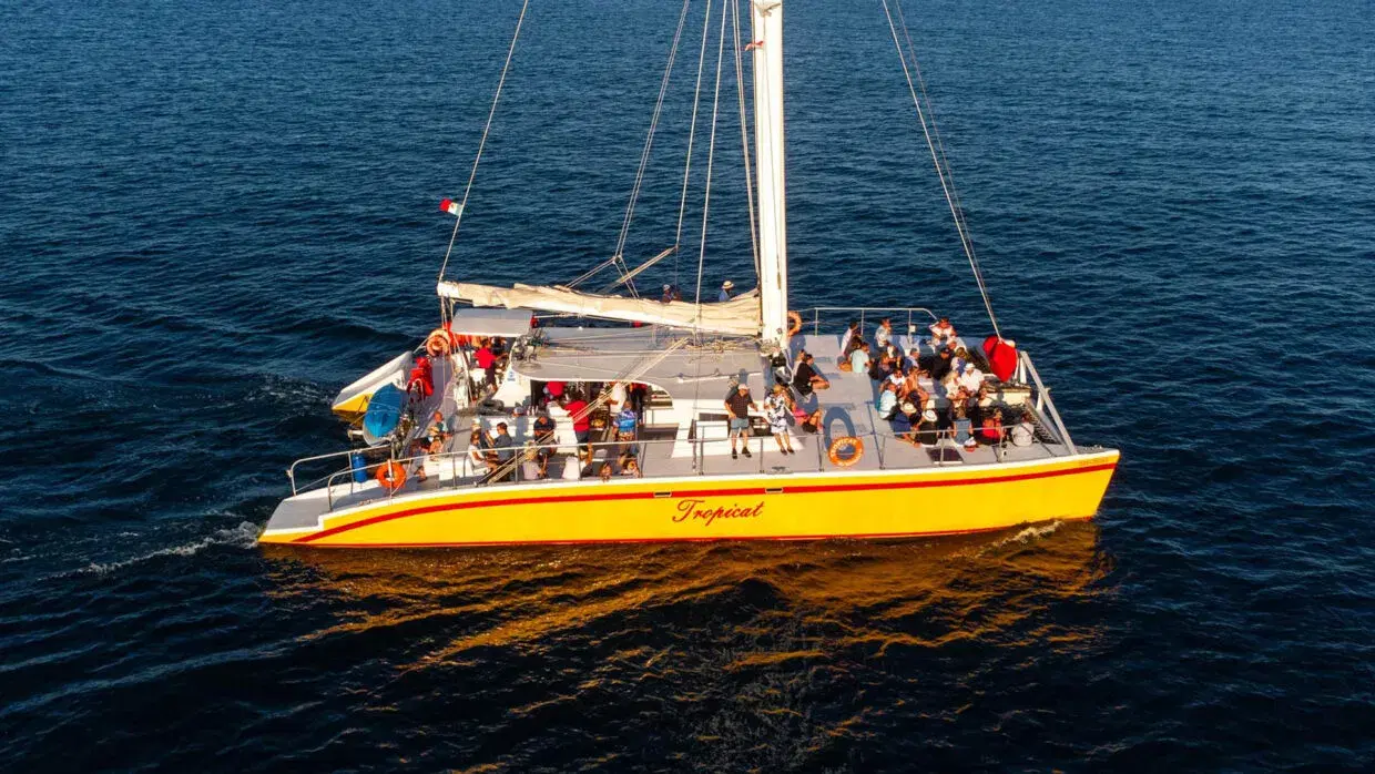 Tropicat Private Charter PezGato