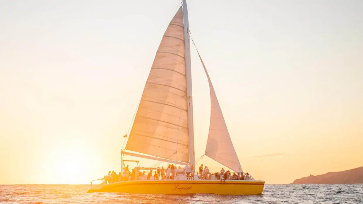 Tropicat Private Charter PezGato