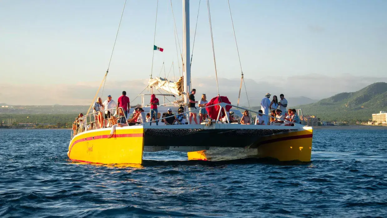 Tropicat Private Charter PezGato