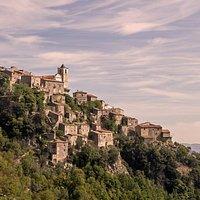 PezGato Amazing Adventures Review by brooke d