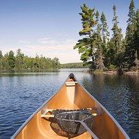 PezGato Amazing Adventures Review by Christine M