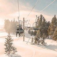 PezGato Amazing Adventures Review by Herbeehusker