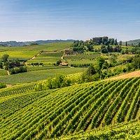 PezGato Amazing Adventures Review by Josie Q