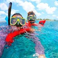 PezGato Amazing Adventures Review by Karina G