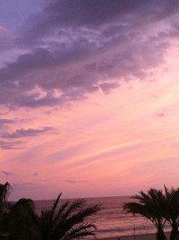 PezGato Amazing Adventures Review by Mark H