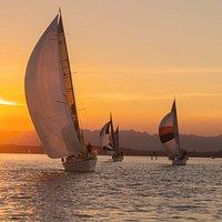 PezGato Amazing Adventures Review by Michael E