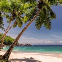 PezGato Amazing Adventures Review by VICENTE C